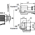 TTP4ML